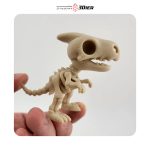 دانلود رایگان مدل سه بعدی altro dino از فروشگاه 3Dier