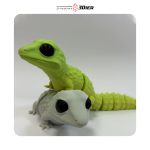 دانلود رایگان مدل سه بعدی Flexi Gecko از فروشگاه 3Dier