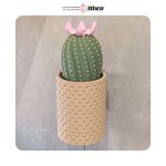 دانلود رایگان مدل سه بعدی Regal Portemonaie از فروشگاه 3Dier